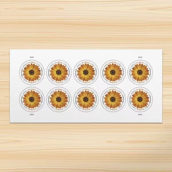 Global African Daisy International First Class Forever US Postage Stamps