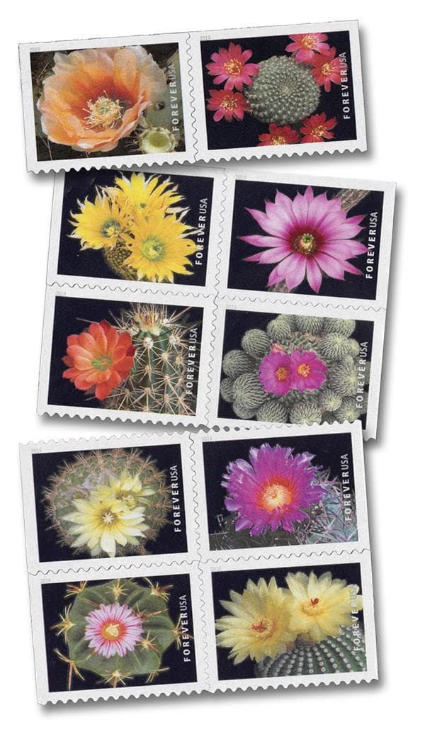 Cactus Flowers Forever First Class Postage Stamps
